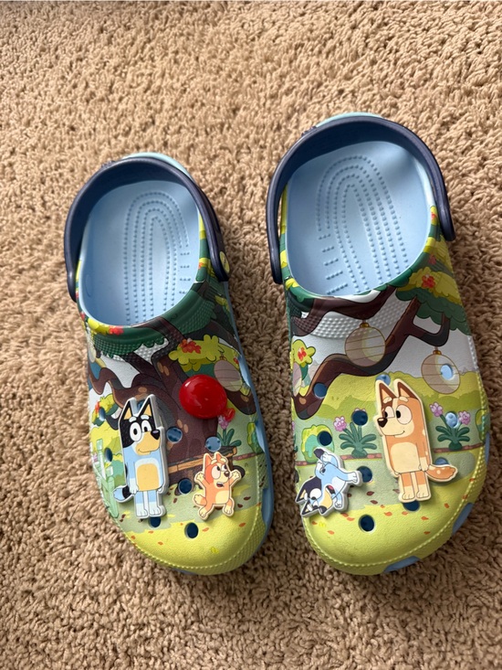 CROCS Other - Men’s Slip-On Crocs with Bluey Characters - Green/Blue